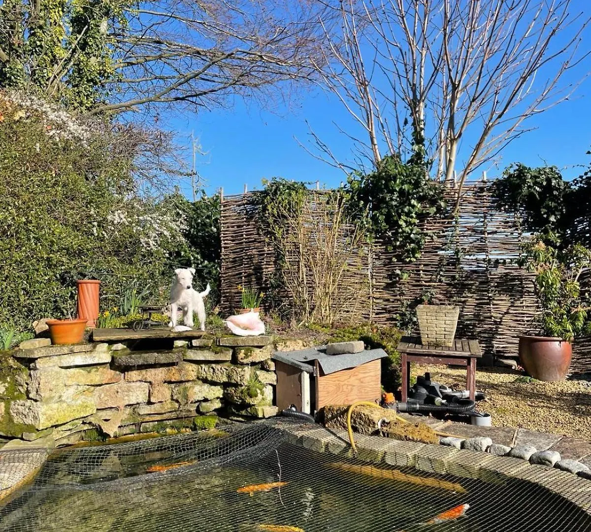 Holiday home The Millers Cottage Cambridge  United Kingdom